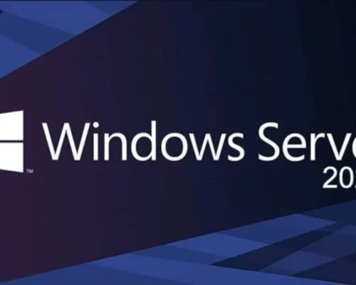 Microsoft Windows Server 2019 Standard Key