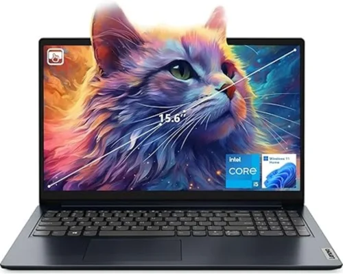 Lenovo IdeaPad 1i Intel Core i5-1335U 10CORE 256GB SSD 16GB 15.6 Inch Graphics W11 (LIMITED OFFER)