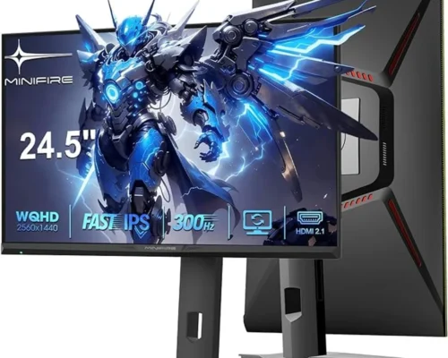 MINIFIRE  PRO 25 2K  300HZ HDMIX2+DPX2  VESA MOUNT HP 25X GAMING 25 DP